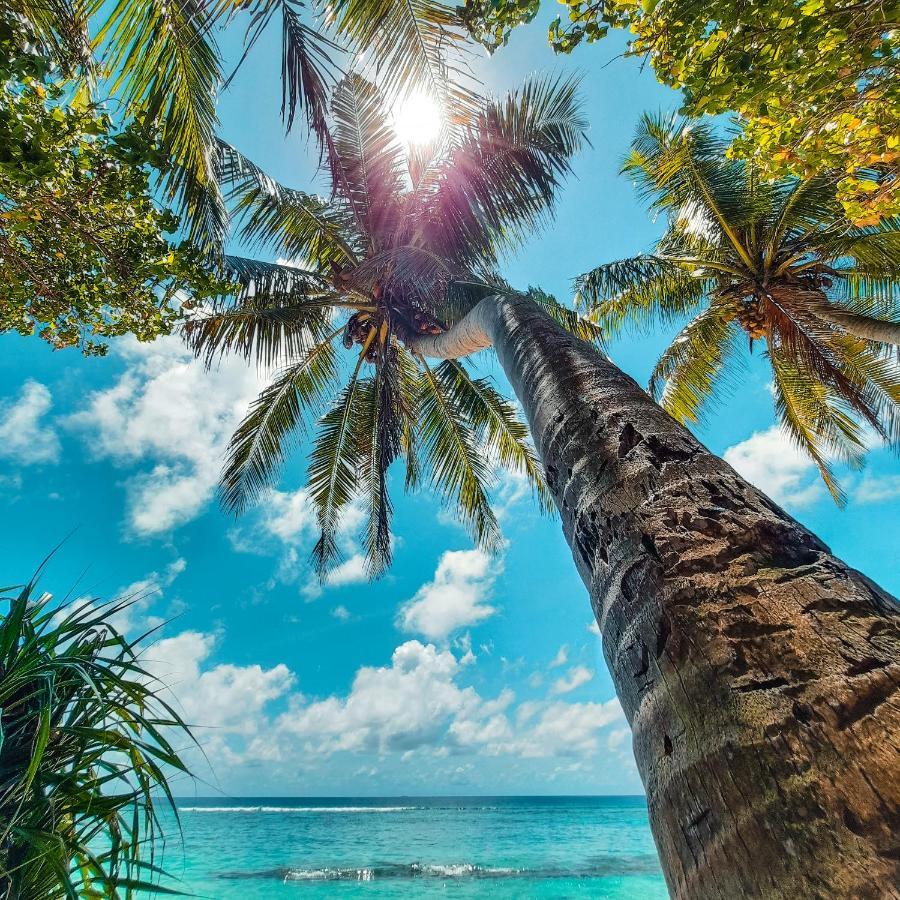 Thundi Sea View Hotell Fulidu Exteriör bild